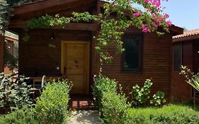 Suzi'nin Bahcesi Bungalov Evler